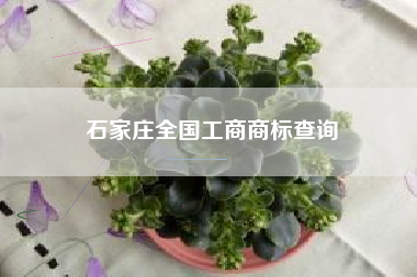石家庄全国工商商标查询