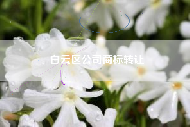 白云区公司商标转让