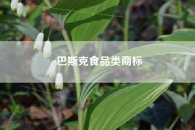 巴斯克食品类商标