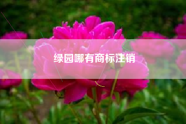 绿园哪有商标注销