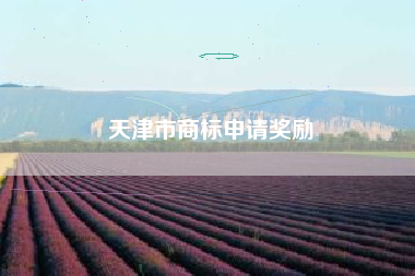 天津市商标申请奖励