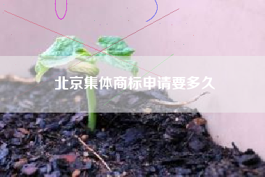 北京集体商标申请要多久
