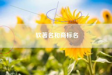软著名和商标名