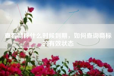 查看商标什么时候到期，如何查询商标的有效状态