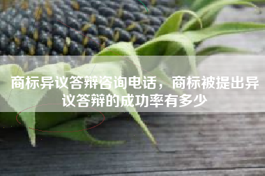 商标异议答辩咨询电话，商标被提出异议答辩的成功率有多少