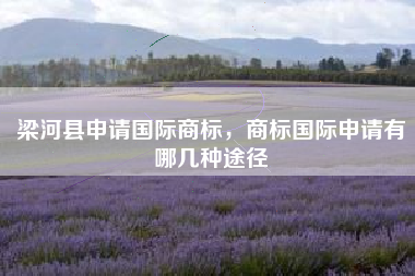 梁河县申请国际商标，商标国际申请有哪几种途径
