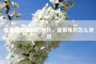 雀巢炼奶商标的图片，雀巢炼奶怎么使用
