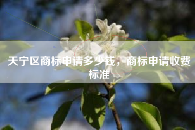天宁区商标申请多少钱，商标申请收费标准