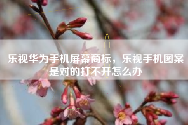 乐视华为手机屏幕商标，乐视手机图案是对的打不开怎么办