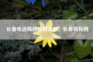 长春电话商标注销流程，长春商标网