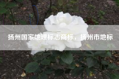 扬州国家地理标志商标，扬州市地标
