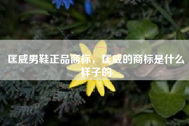 匡威男鞋正品商标，匡威的商标是什么样子的