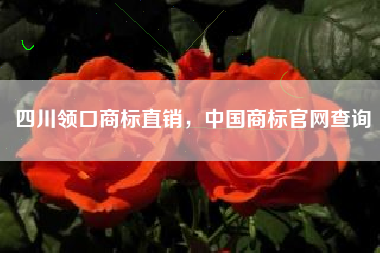四川领口商标直销，中国商标官网查询