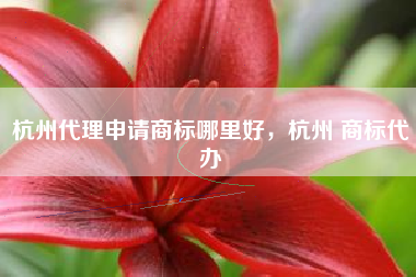 杭州代理申请商标哪里好，杭州 商标代办
