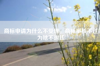 商标申请为什么不受理，商标审核不过为啥不退钱