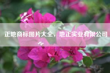 正地商标图片大全，地正实业有限公司