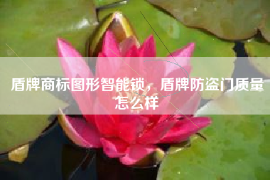 盾牌商标图形智能锁，盾牌防盗门质量怎么样