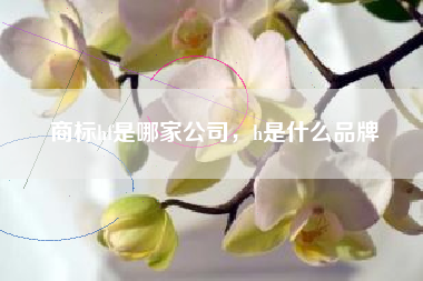商标hf是哪家公司，h是什么品牌