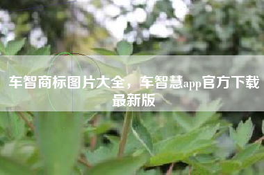 车智商标图片大全，车智慧app官方下载最新版