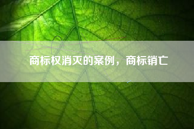 商标权消灭的案例，商标销亡