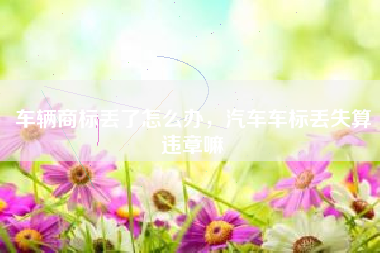 车辆商标丢了怎么办，汽车车标丢失算违章嘛