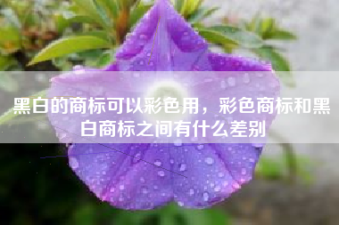 黑白的商标可以彩色用，彩色商标和黑白商标之间有什么差别