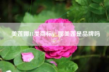 美莲娜11类商标，娜美莲是品牌吗