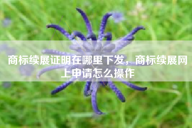 商标续展证明在哪里下发，商标续展网上申请怎么操作