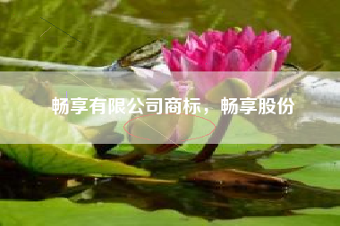 畅享有限公司商标，畅享股份