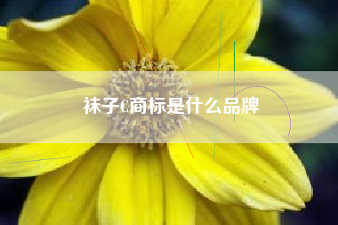 袜子C商标是什么品牌