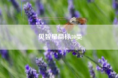 贝智星商标30类