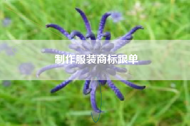 制作服装商标跟单