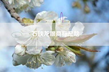 石硖龙眼商标是啥