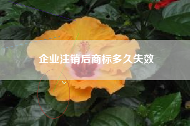 企业注销后商标多久失效
