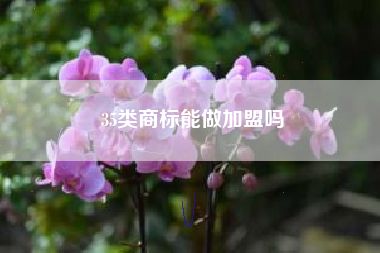 35类商标能做加盟吗