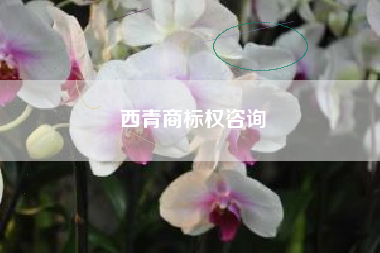 西青商标权咨询