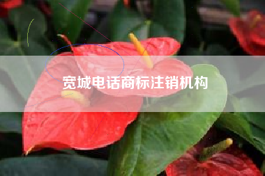 宽城电话商标注销机构