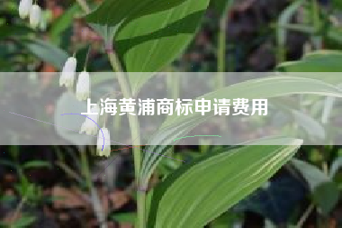 上海黄浦商标申请费用