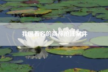 我国着名的商标抢注案件