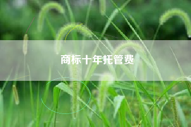 商标十年托管费