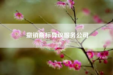 撤销商标异议服务公司