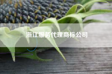 浙江服务代理商标公司