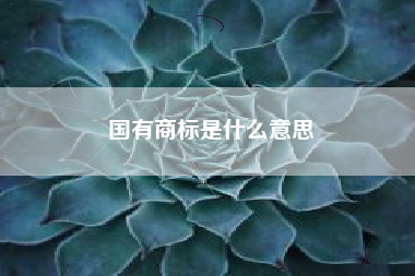 国有商标是什么意思