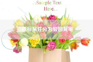 商标案件分为驳回复审