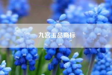 九宫玉品商标