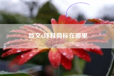 欧文6球鞋商标在哪里