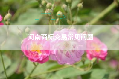 河南商标交易常见问题
