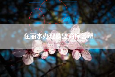 在丽水办理欧盟商标答辩