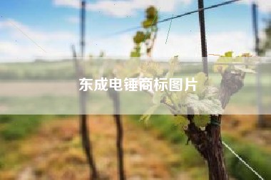 东成电锤商标图片
