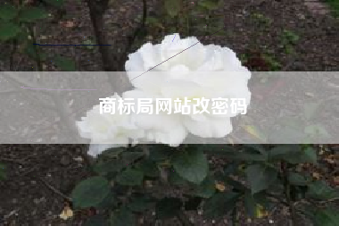 商标局网站改密码